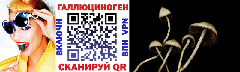 Псилоцибиновые грибы мицелий  blacksprut онион  Безенчук 